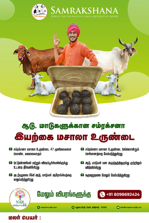 Masala Urundai / மசாலா உருண்டை