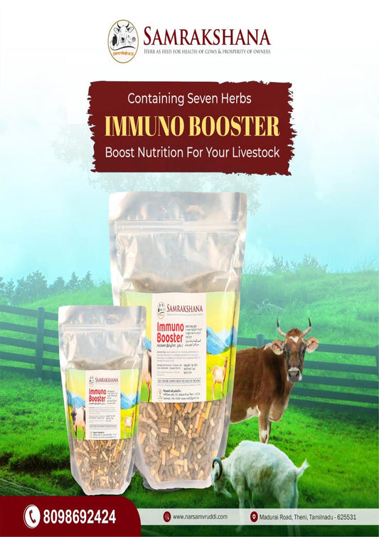 Immuno Booster / இம்முனோ பூஸ்டர்