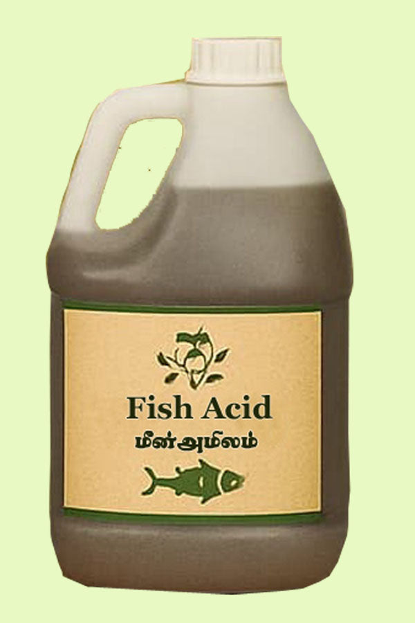 Fish Amino Acid / மீன் அமினோ அமிலம்