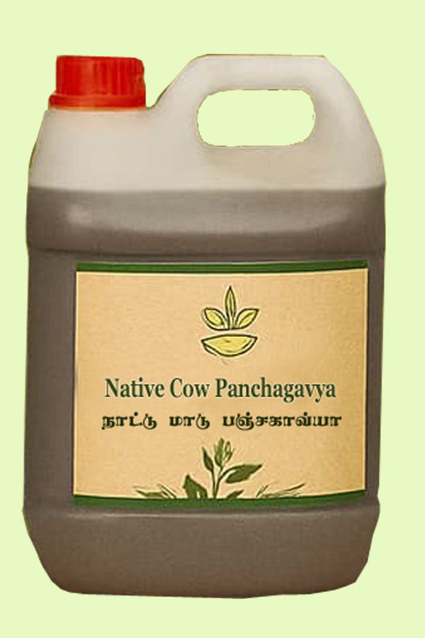 Native Cow Panchagavya / நாட்டு மாட்டு பஞ்சகவ்யா
